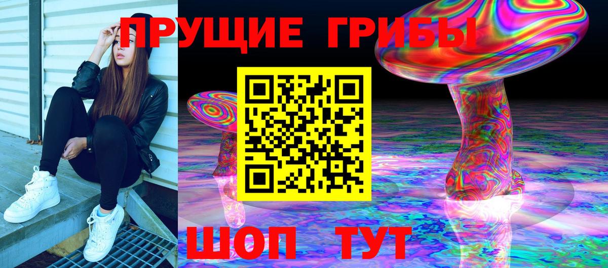 Псилоцибиновые грибы Psilocybe  Вход с VPN  Галлюциногенные грибы ЛСД  Удомля 