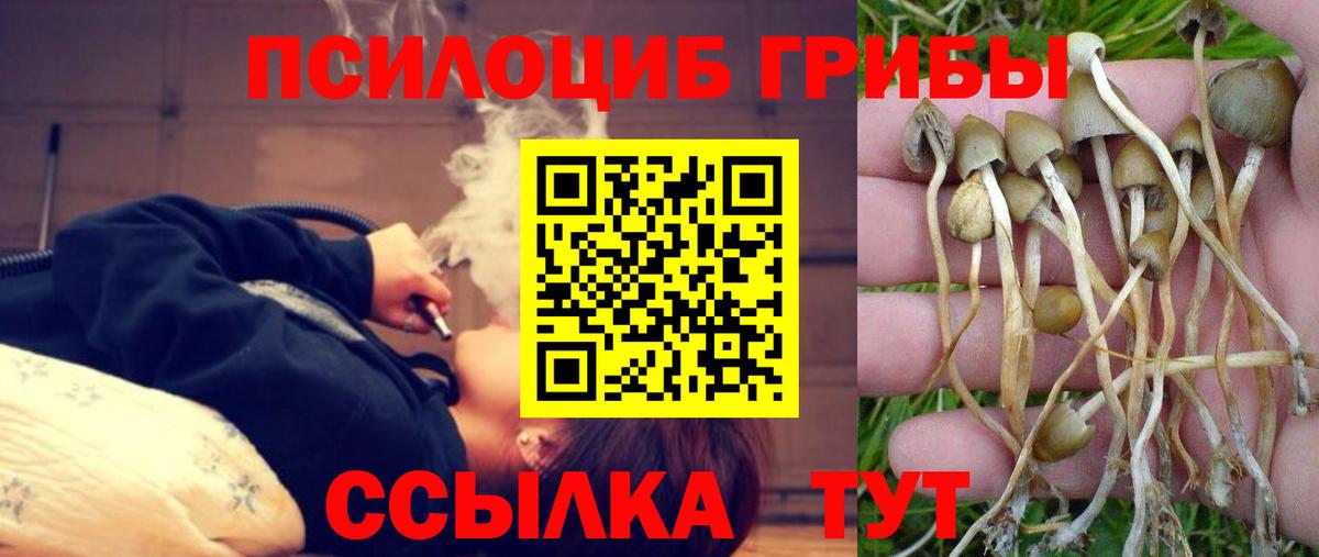 Псилоцибиновые грибы мухоморы Удомля