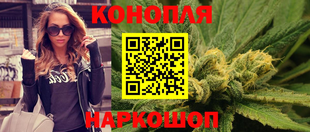 Марихуана сатива Удомля